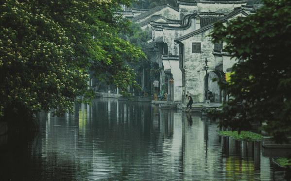 便民服务平台激发乡村治理效能